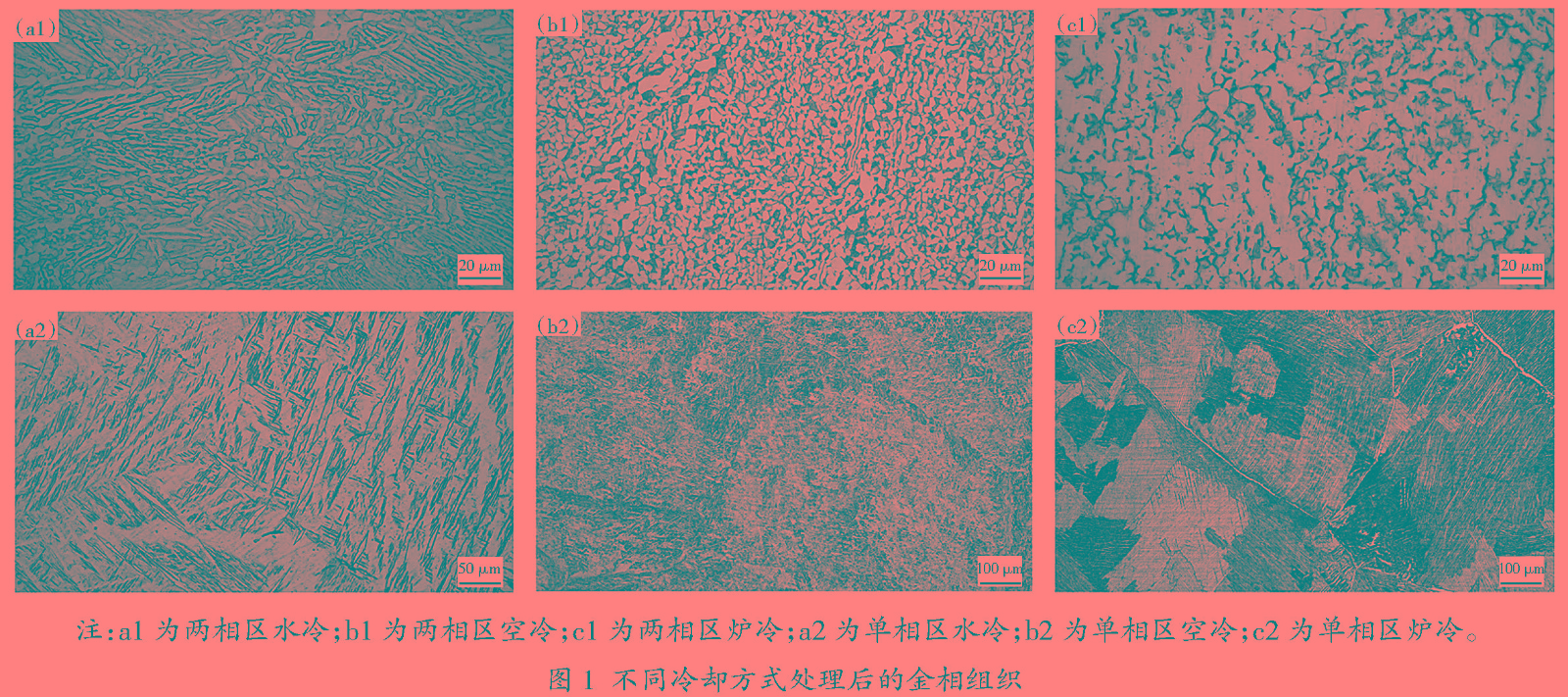 1681045577570330.jpg t1.jpg